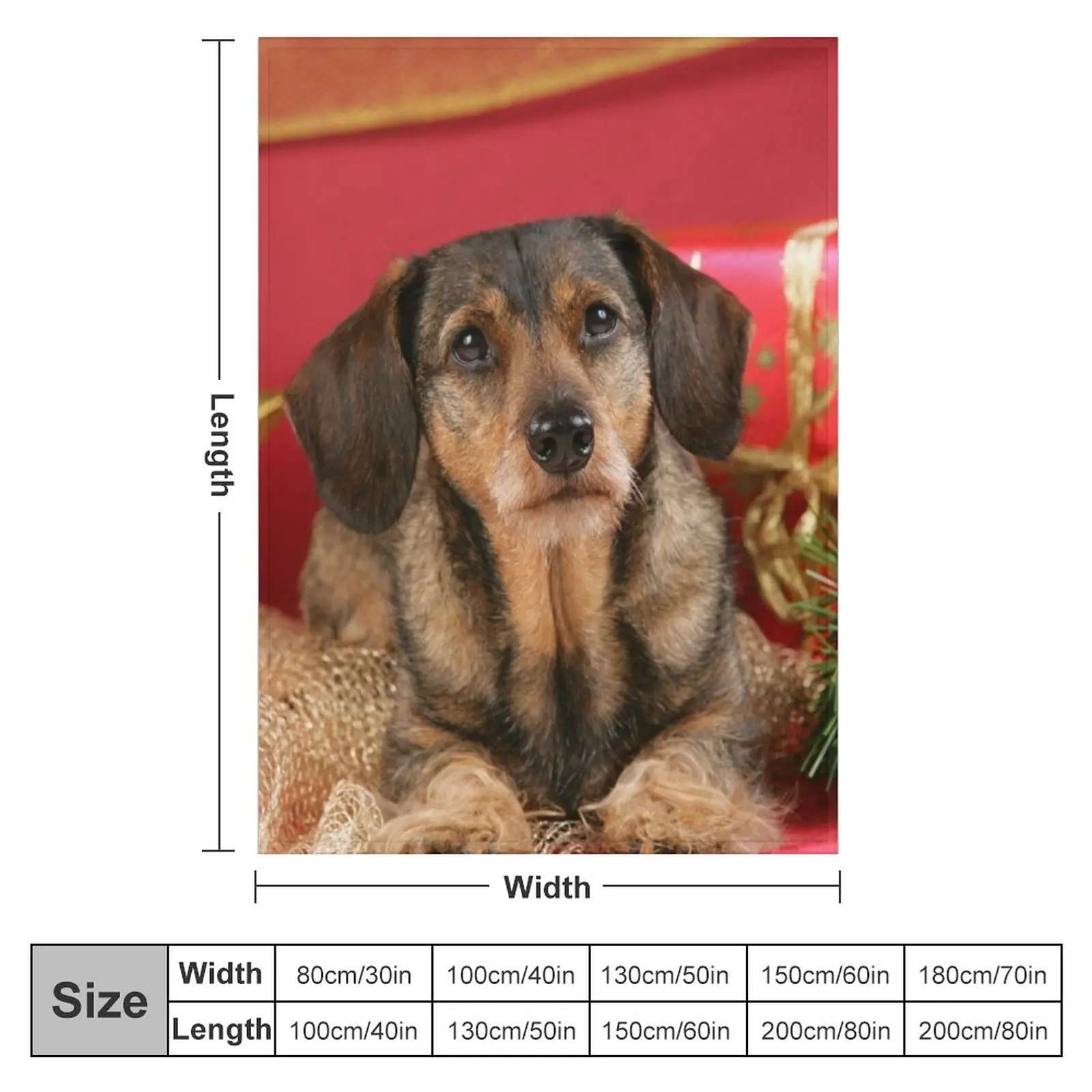 Sweet wire-haired dachshund dog wishes Merry Christmas Throw Blanket Comforter Decorative Sofas Bed linens Cute Blankets