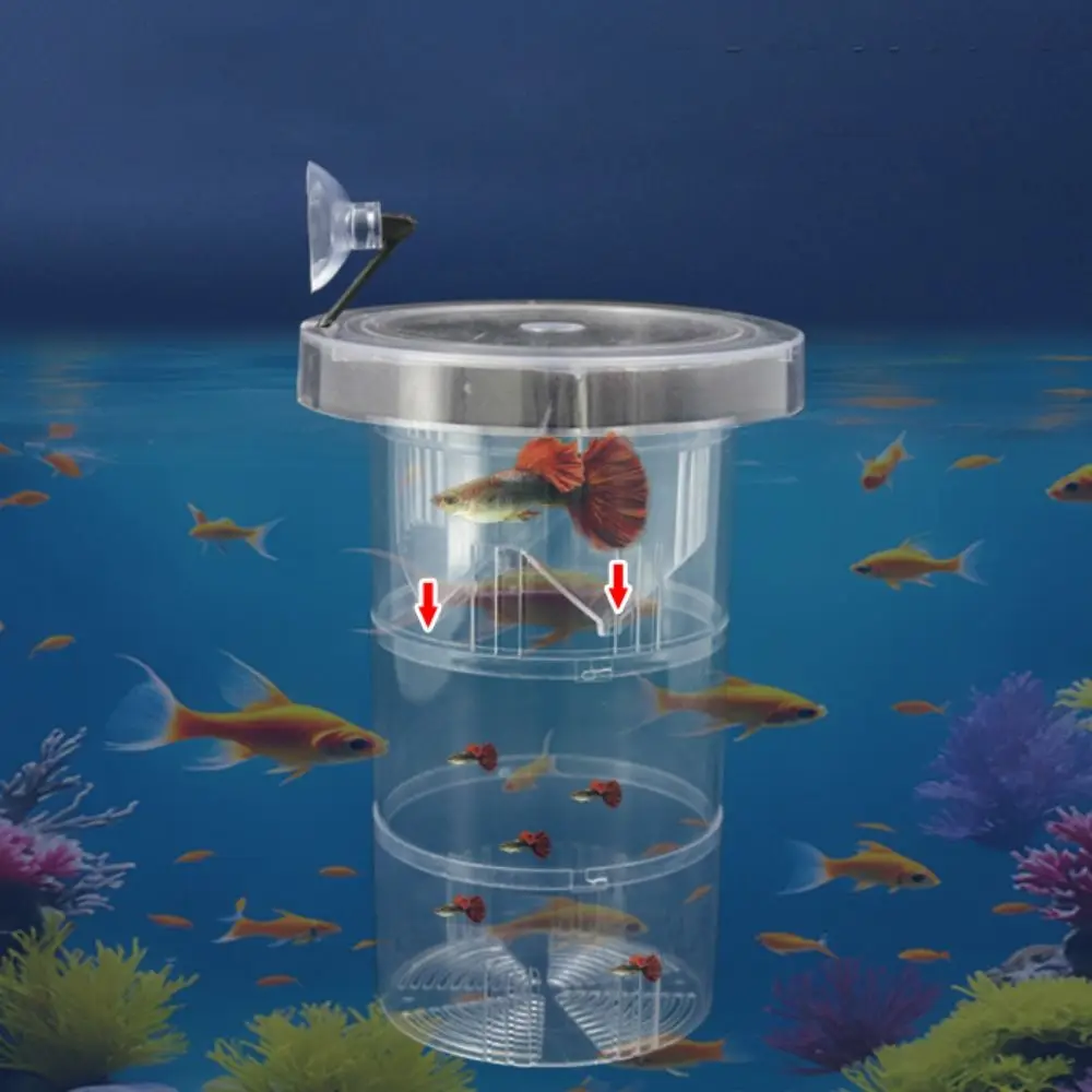 Suction Cup Floating Hatching Box Semi-transparent Plastic Aquarium Isolation Box Guppy Breeding Box Detachable