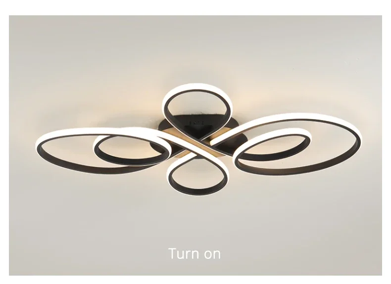 Modern LED Ceiling Light Nordic Creative Indoor Lighting Decoration Accessories for Living Room Study Room Bedroom Light Fixture
