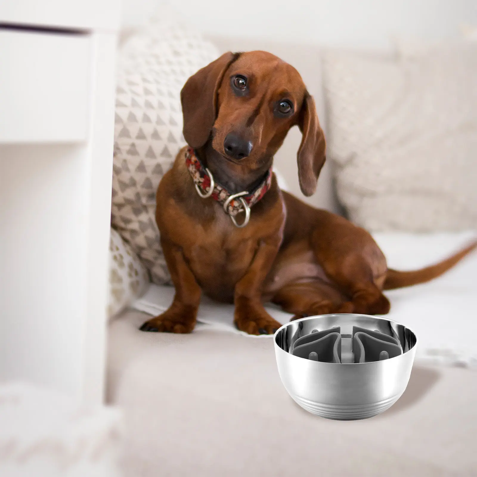 Dog Slow Feeder Bowl Insert Compact Design Round Edges Non Slip Pet Feeding Bowl Insert for Proper Digestion Prevent Choking