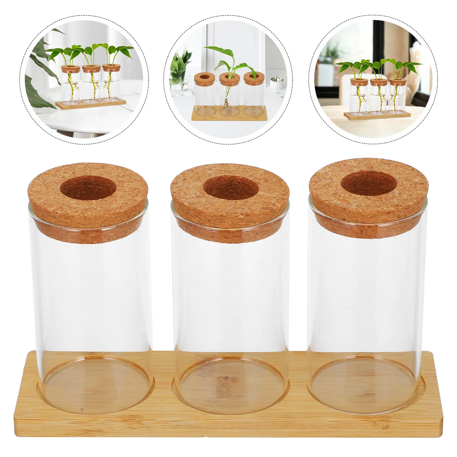 Set of 3 Desktop Glass Plant Propagation Stations Micro Landscape Terrariums for Indoor Hydroponic Plants Elegant Compact