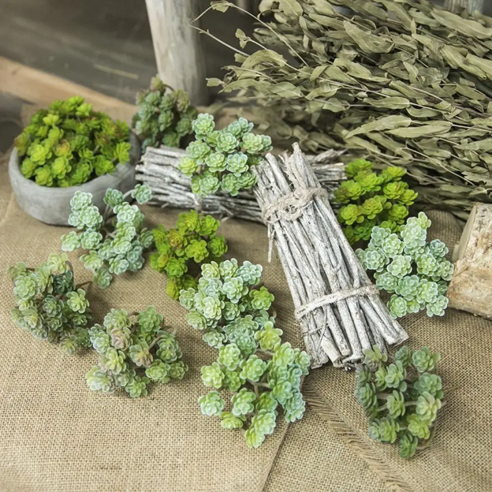 24 Heads Mini Artificial Cactus Plant Plastic Realistic Artificial Succulent Plant Real Touch Micro Landscape Decoration - Image 3