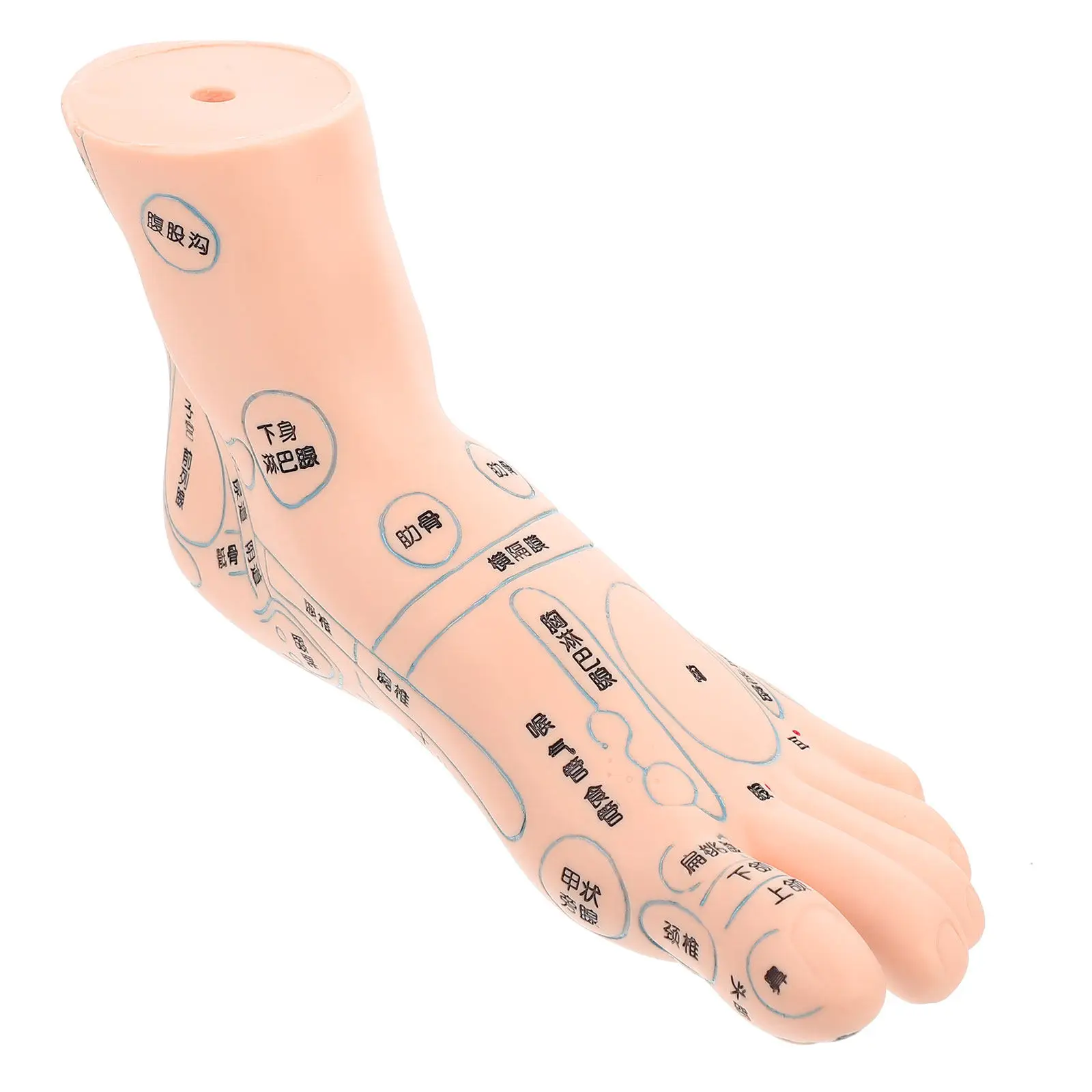 

1 шт. Прочный массажный тренажер для обучения акупунктуре, демонстрационный манекен левой стопы для физиологического обучения, с отображением зон рефлексотерапии стопы
