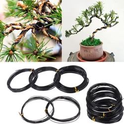 Total 10m (Black) Bonsai Wire Anodized Aluminum Bonsai Training Wire, 5 Sizes (1.0mm, 1.5mm, 2.0mm, 2.5mm, 3mm) For Plant Shapes