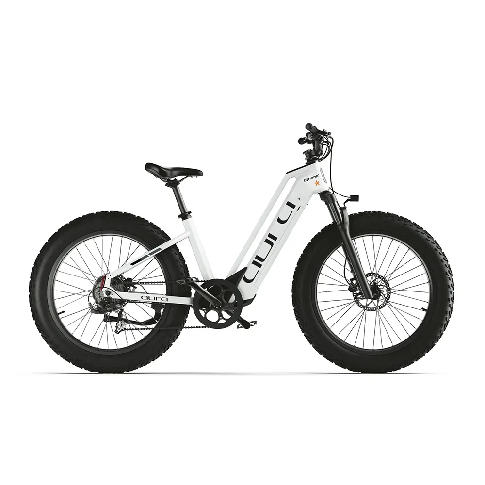 Cyrusher Aura Elektrofahrrad für Erwachsene, 250W Motor, 52V 15AH Batterie, 90 km Reichweite, Stoßdämpfer, Offroad-Fatbike, Scheibenbremse, wasserdicht, 26 Zoll Reifen