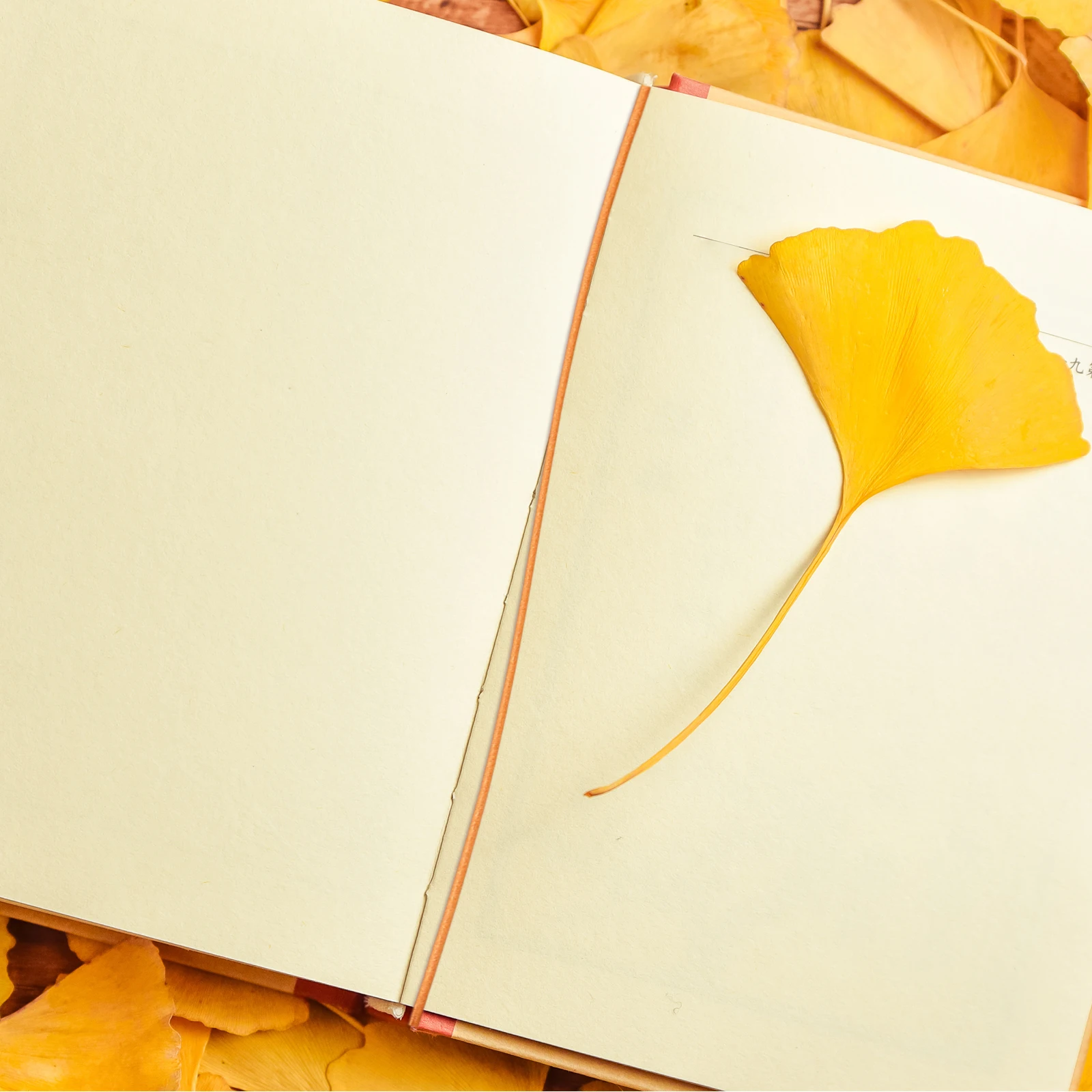 

5 шт., нейлоновая веревка, эластичный эластичный ремешок для обложки ноутбука, скрапбукинг, журнал, планировщик, аксессуары, ремесло