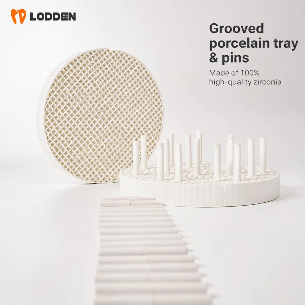 Dental Honeycomb Firing Trays free 20 Zirconia Pins for Sintering Pan Rack Circle Plate holder Dentist Lab Equipment Tools