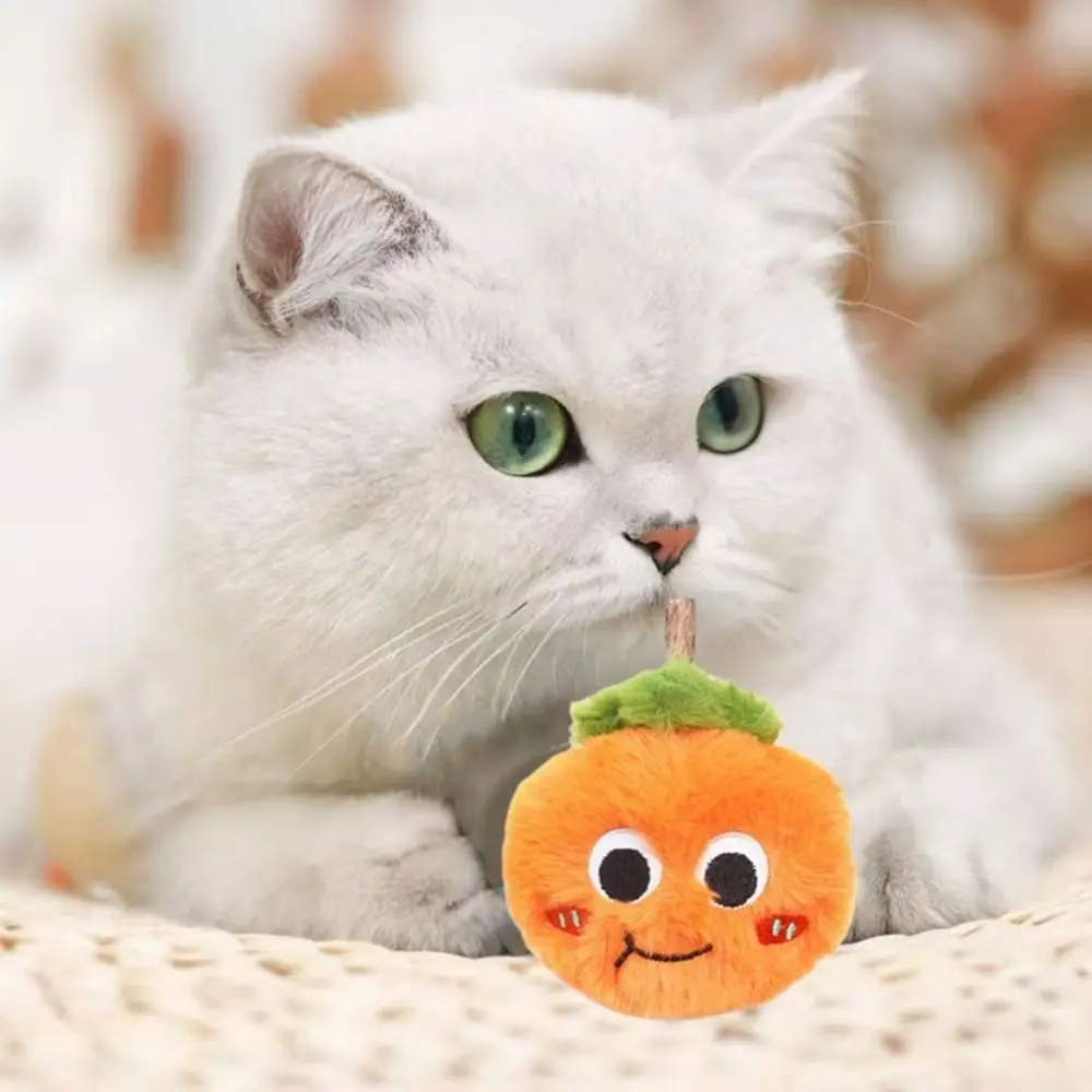 

4Pcs Pet Supplies Fruit Shape Cat Chewing Toy Bite Resistant Simulation Cat Teasing Toys Plush Teeth Grinding Toy For Dogs Cats
