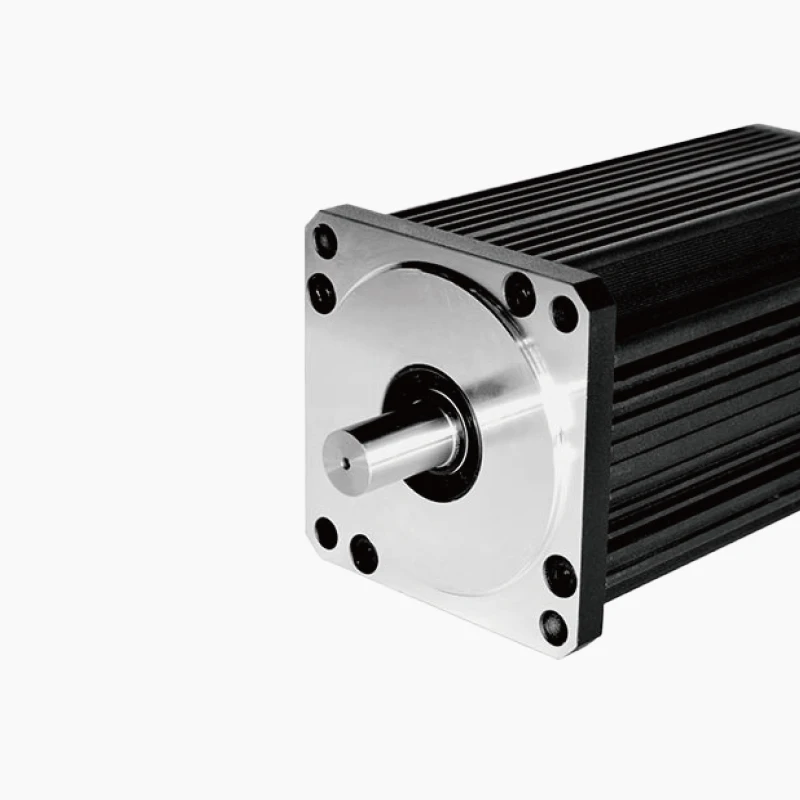 PrimoPal 110mm Heavy Lift Brushless Motor 1200W 1600W 1800W 2KW 2200W 48V Big High Power High Torque BLDC Motor for Industry