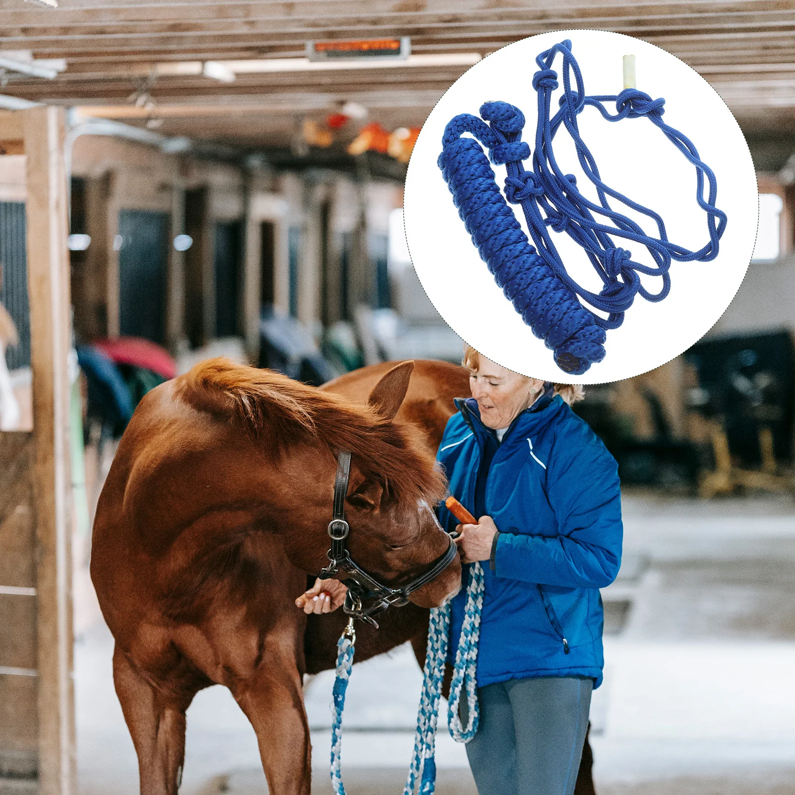 رسن الحصان مقاوم للاهتراء من القماش القاسي الصلب للتدريب المحمول في الهواء الطلق معدات إمداد الحصان طوق الثدي الغربي