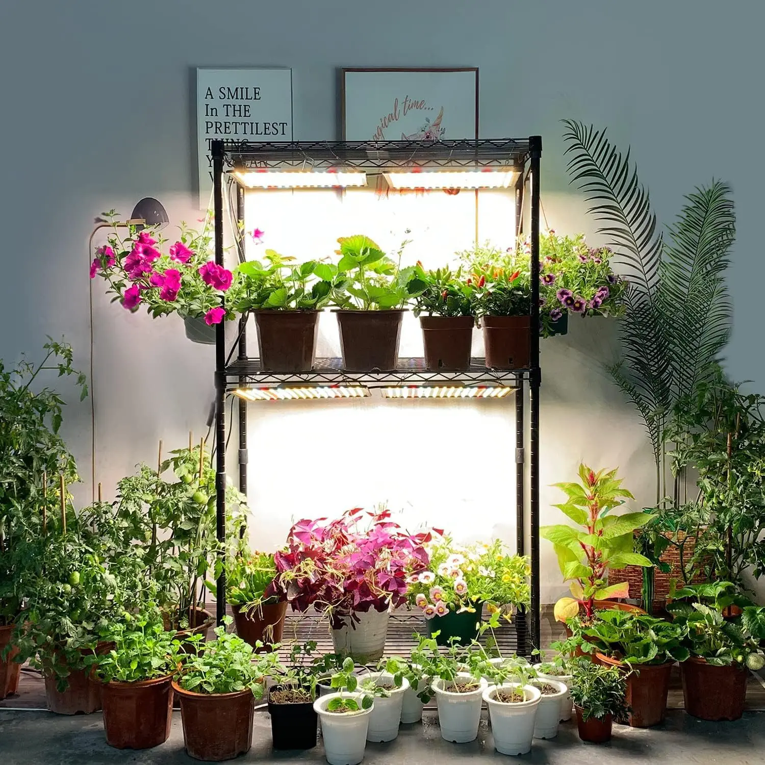 Full Spectrum Plant Growth Led Quantum Board Lamp Hanging Greenhouse Succulent Flower Tent Seed Fill Light