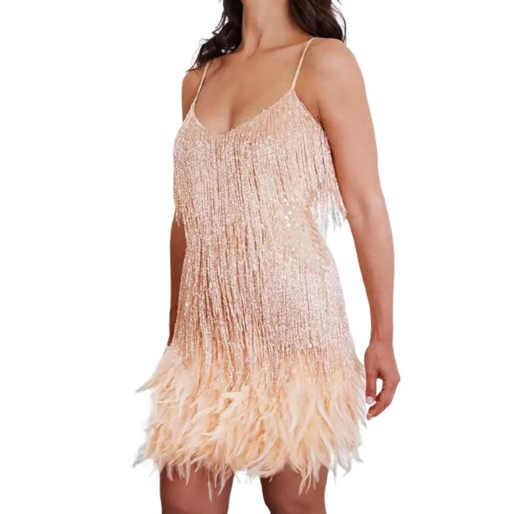 

Women Dress Tassel Sequin V Neck Sleeveless Backless Feather Decor Loose Rumba Cha-cha Dance Costume Mini Dress