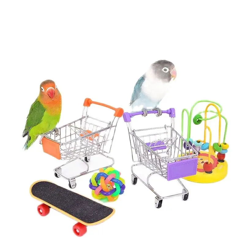 Bird Training Toy Supplies Basketball Stand Lovebird Shopping Cart Bird Toy Shoes Canary Skateboard Parrot Toy Accessories