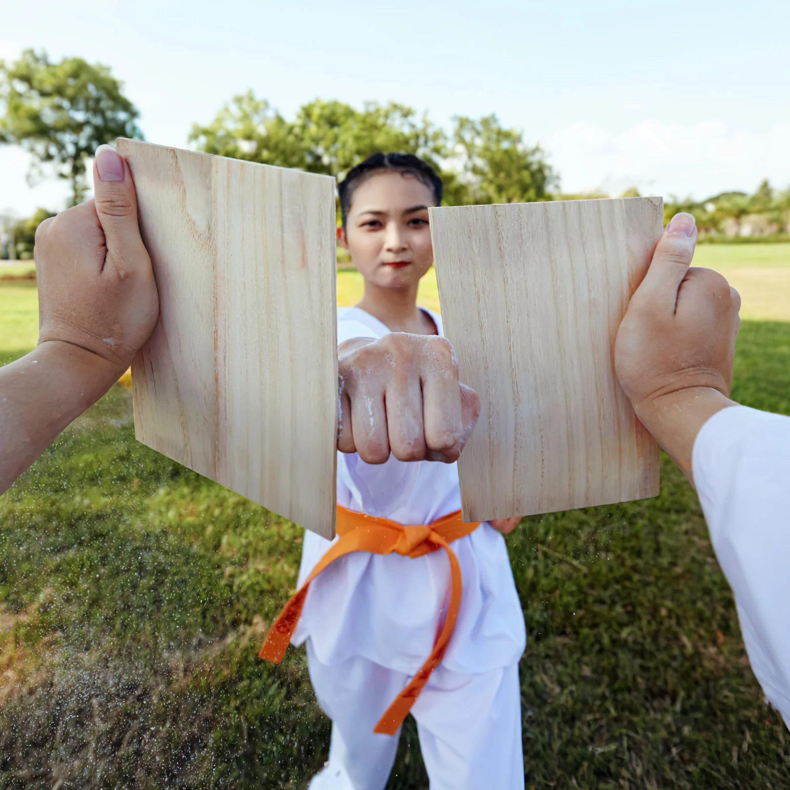 10 Pcs Taekwondo Plank Skirting Board Training Broken Versatile Breaking Wood Accessory Performing Professional Dad Wooden