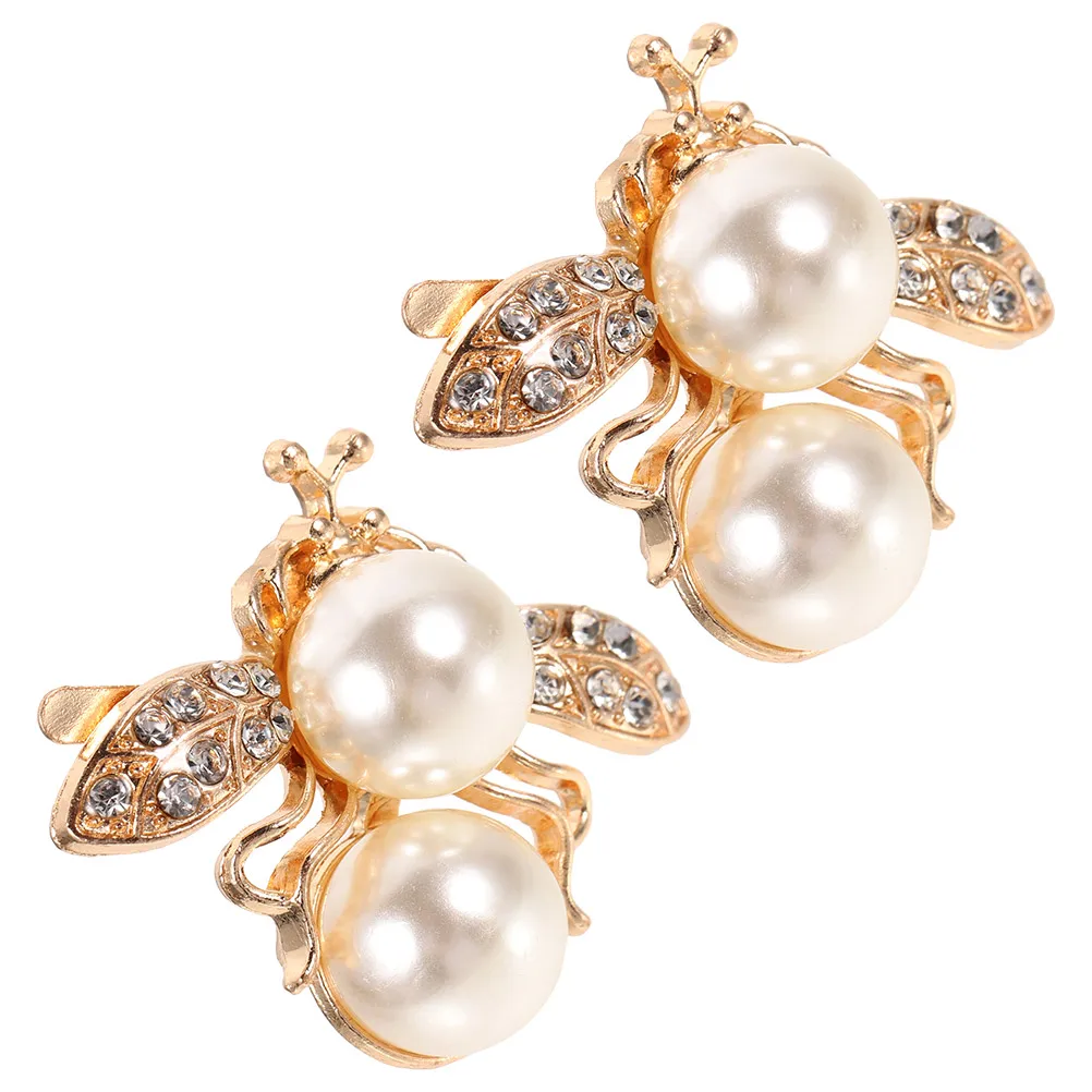 

2 Pcs Hair Accessories Bag Diy Sandals Decoration Bling Shoe Charms Bridal Clips Buckle for Shoes Buckles Jewelry Decors