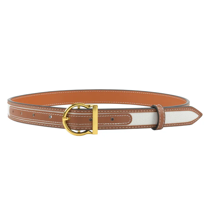 Elegant Two-Tone Belt with Gold Buckle - Premium Quality, Adjustable for Perfect Fit
