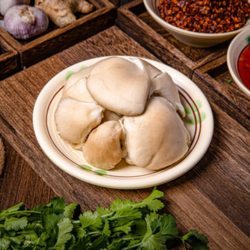 MJX Hyper Go 10208 1/10 جهاز تحكم عن بعد Bigfoot مركبة/مؤازرة للطرق الوعرة #1