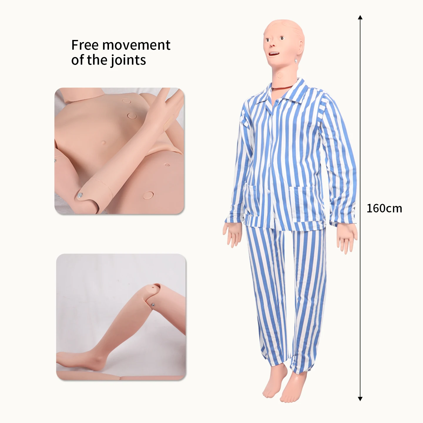 DARHMMY  Male Female Multifunctional Mannequin Nurse Training Manikin  Simulator Nursing Training Dummy Model