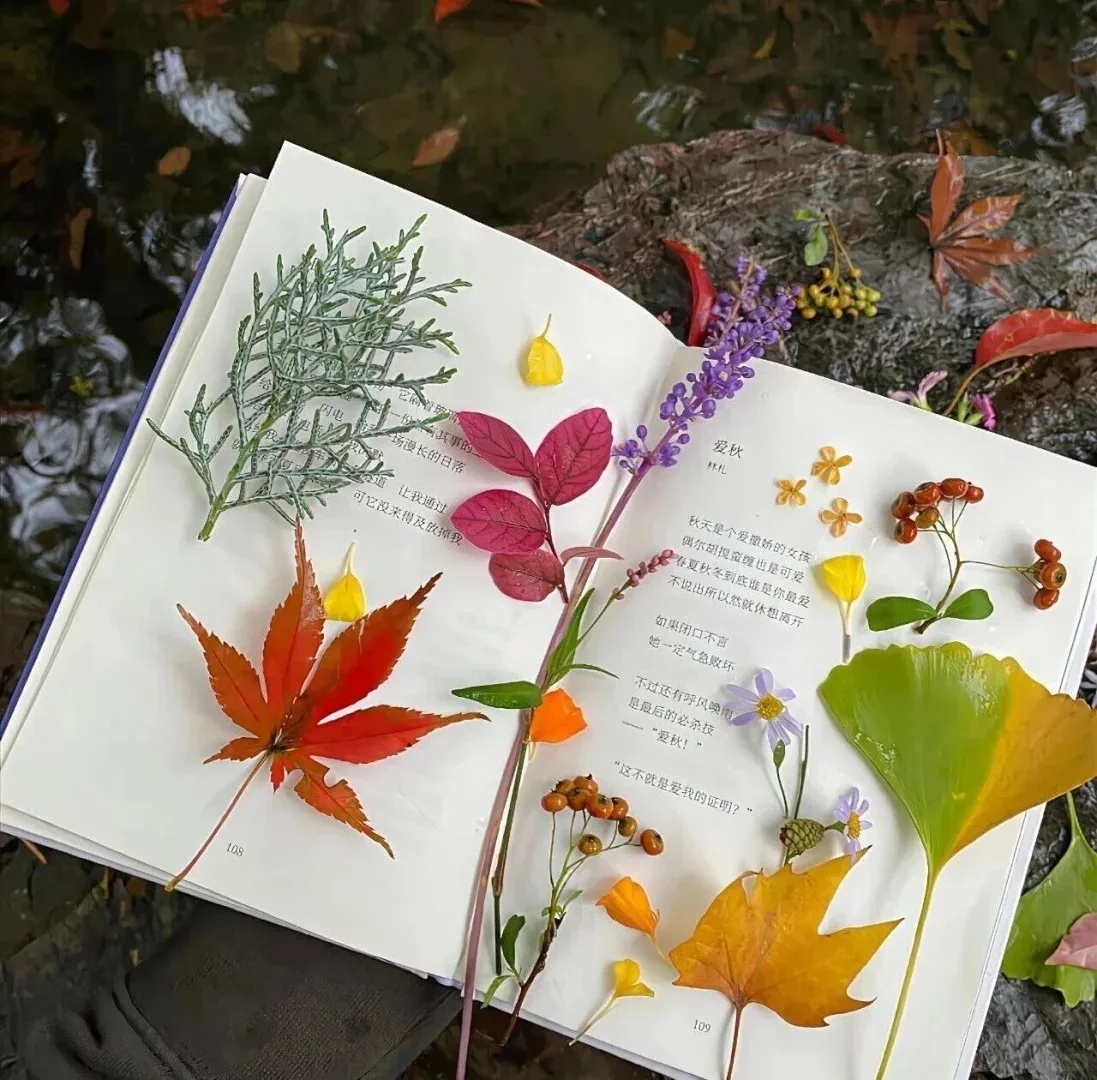 High Power 755nm 808nm 1064nm Laser Portable Hair Removal Skin Care Machine 2in1 Laser Ipl Hair Removal Machine for Home Use