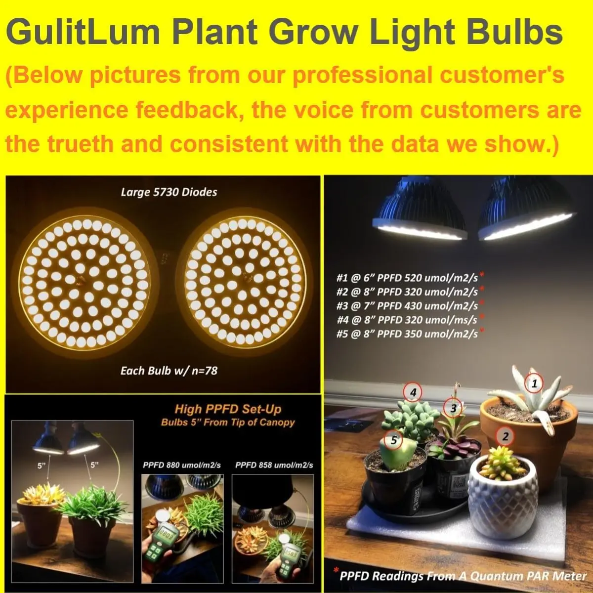 Plant lights8