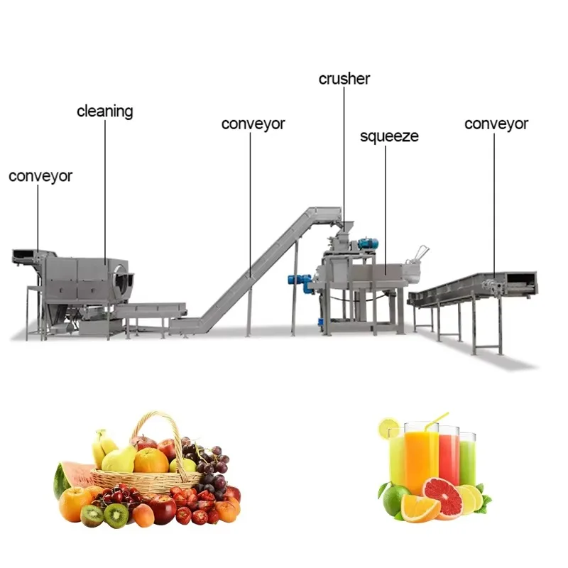 Industrial Stainless Steel Complete Fruit Juice Production Line apple Pear Juice Extractor Squeezeing Maker Machine Customized