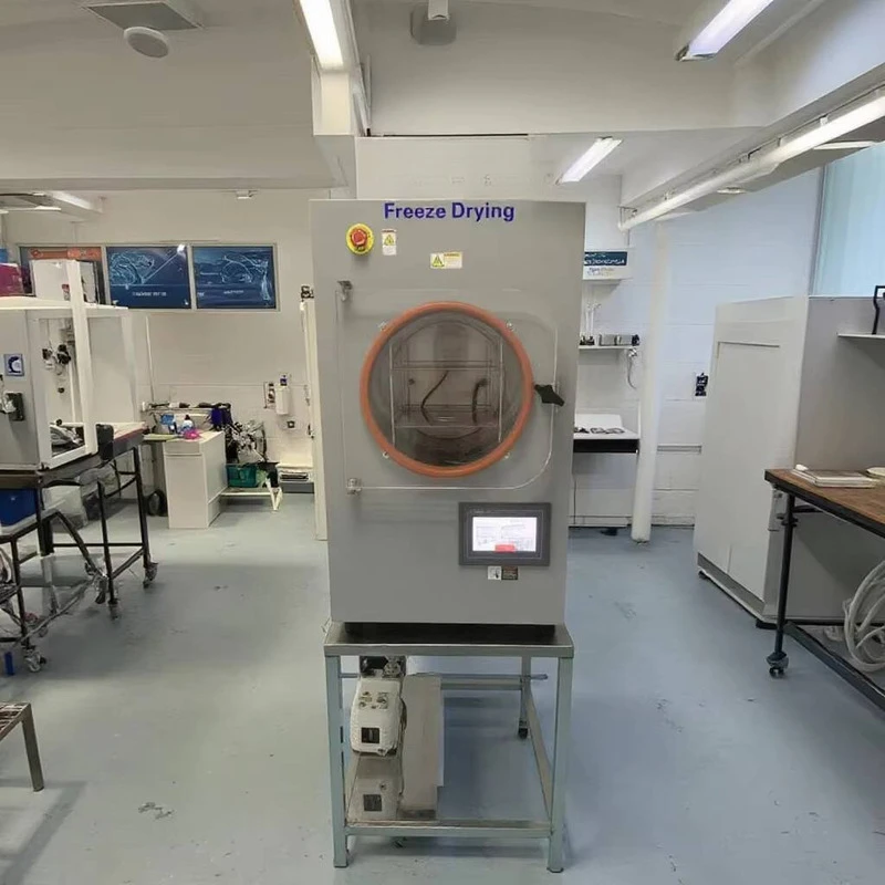 Freeze Dryer, Household Small Laboratory Pet Food, Fruit, Cordyceps, Tea, Vacuum Freeze Dryer, Commercial Equipment
