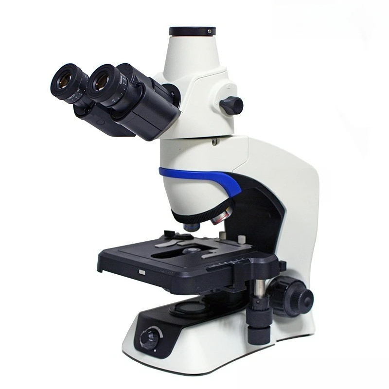 Microscópio biológico, microscópio trinocular binocular, microscópio fluorescente