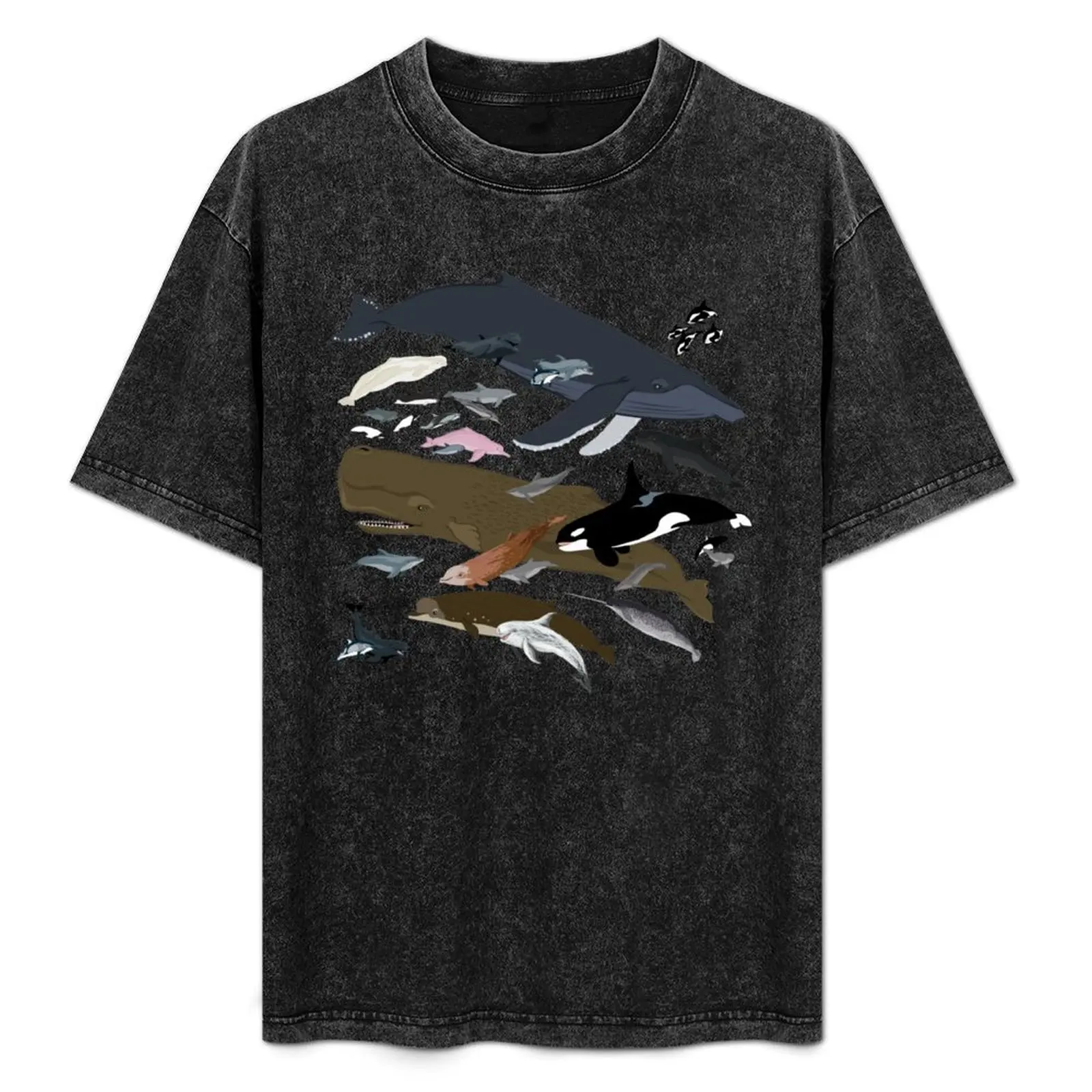 

I Am Thankful For Cetaceans T-Shirt Basic Breathable Solid Color T-Shirt