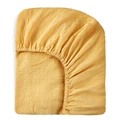 for Ginger yellow