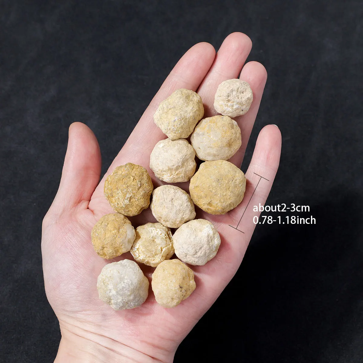 10PCS Unopened Natural Agate Geode Mini Raw Crystals Mineral Quartz Rough Stones Crystal Cluster Cave Collection Specimen