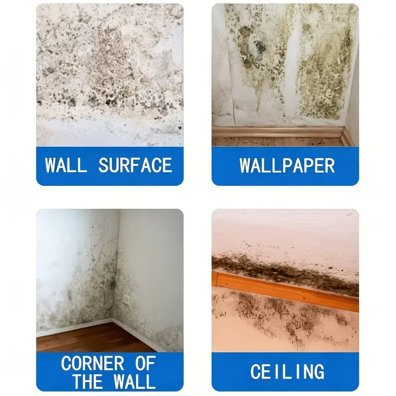 بخاخ مزيل العفن والبقع السوداء - مراجعة Home Bathroom Essentials وسعره