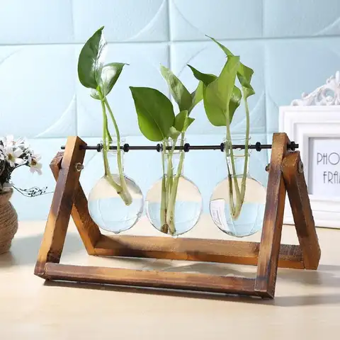 Glass Wood Vase Planter
