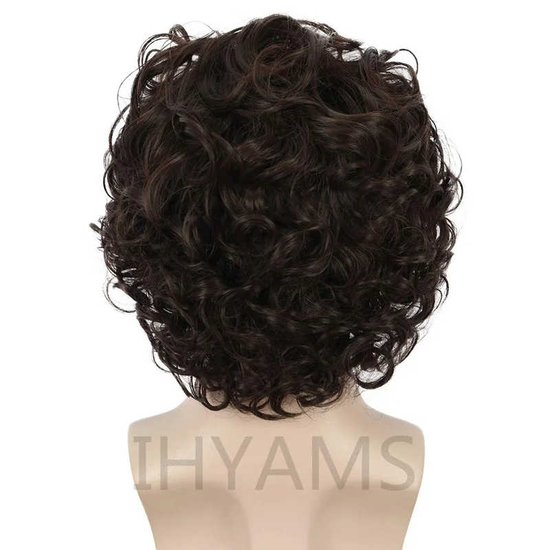 New Moive Dune Paul Atreides Cosplay Wig Men Dark Brown Short Curly Wig Heat Resistant Hair Role Play Wigs + Free Wig Cap