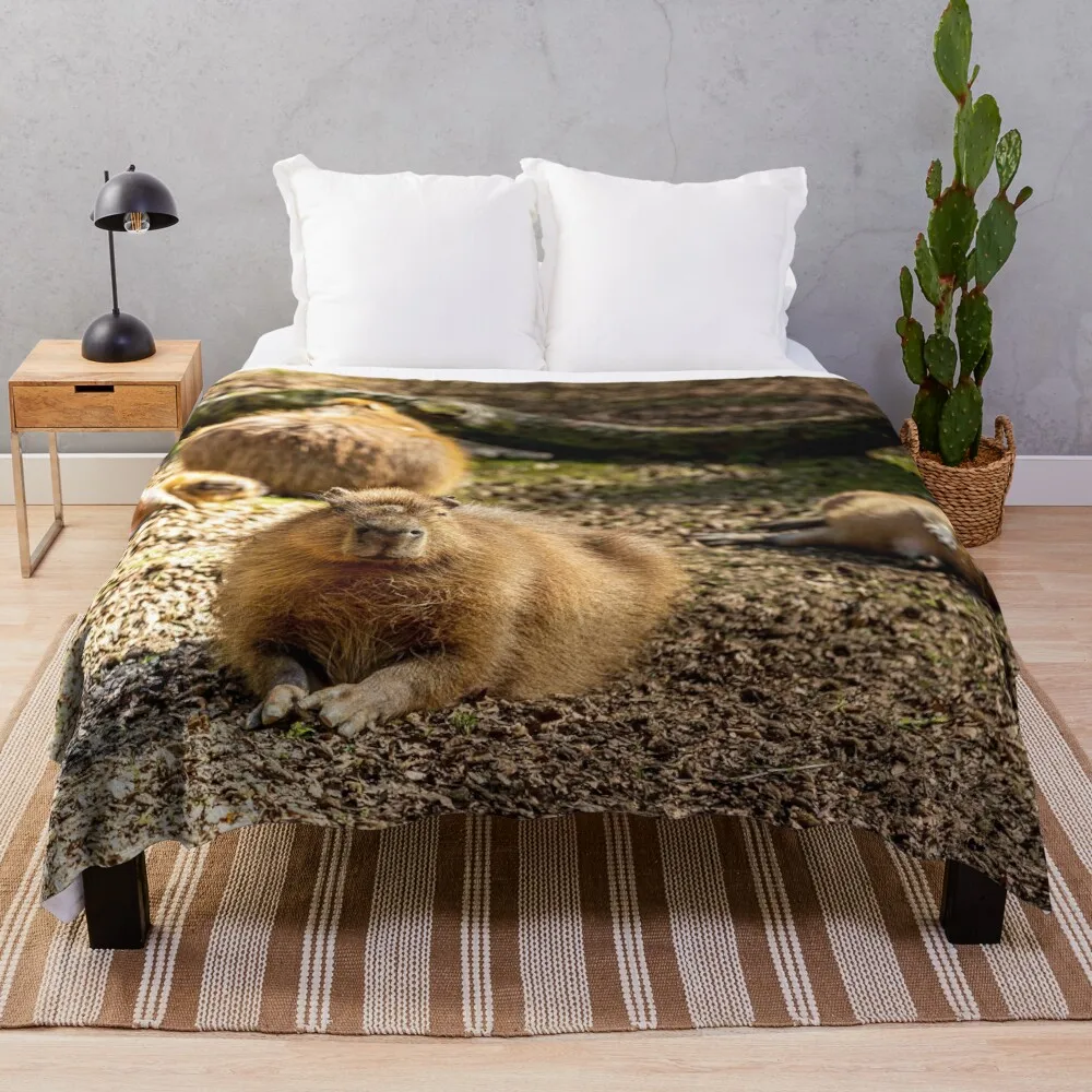 Capybara taking the Sun Throw Blanket Luxury Thicken Blanket Single Blanket