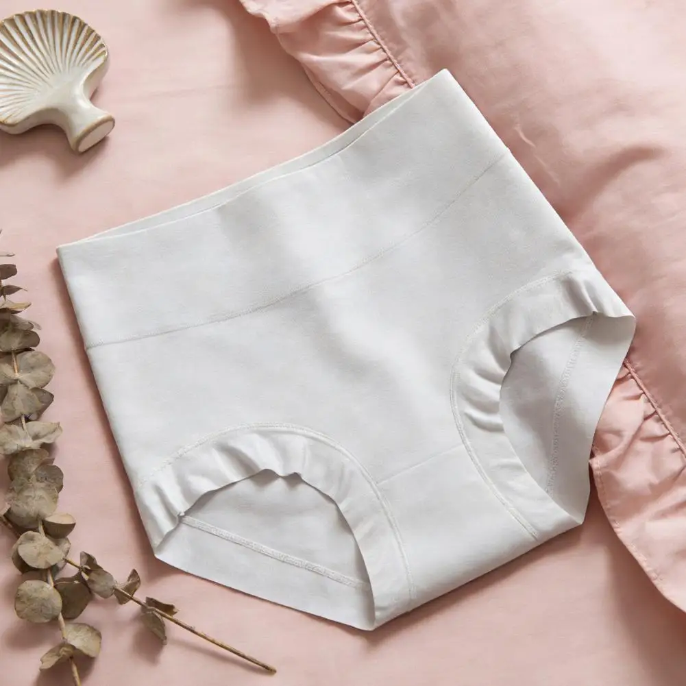 No Show Underwear Women Women Underwear Women's High Waist Cotton Underwear Full Coverage Soft Comfort Briefs Plus Size Stretch