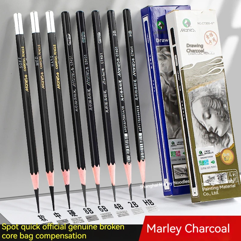 12 Pieces Art Pencils Professional Drawing Sketching Pencil Set, Graphite Shading Pencils for Beginners & Pro Artists