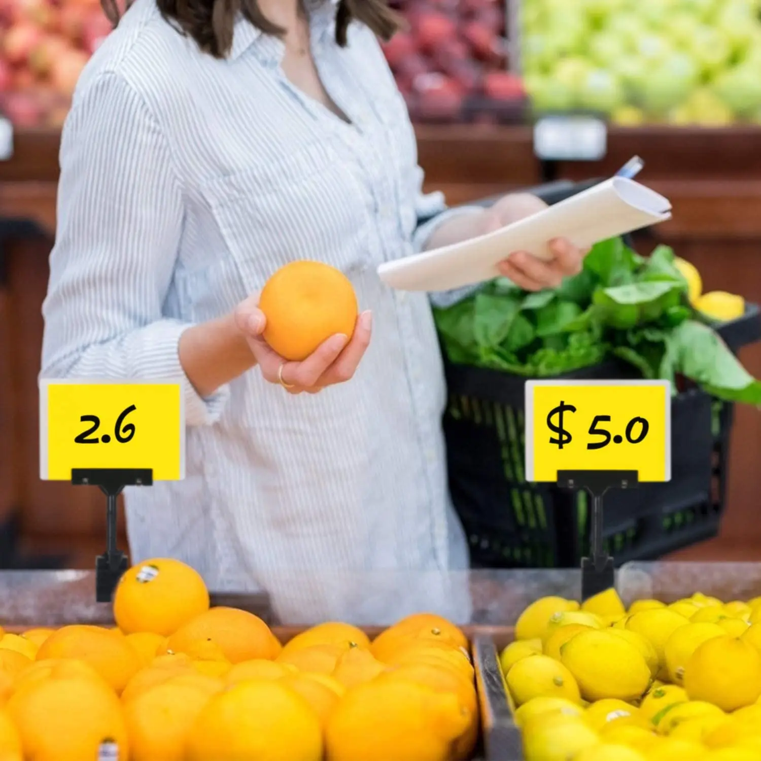 10PCS Adjustable Plastic Sign Holder,Clip-on Style Double Head Display Clips Rotating Reuse Sign Price Tag for Store