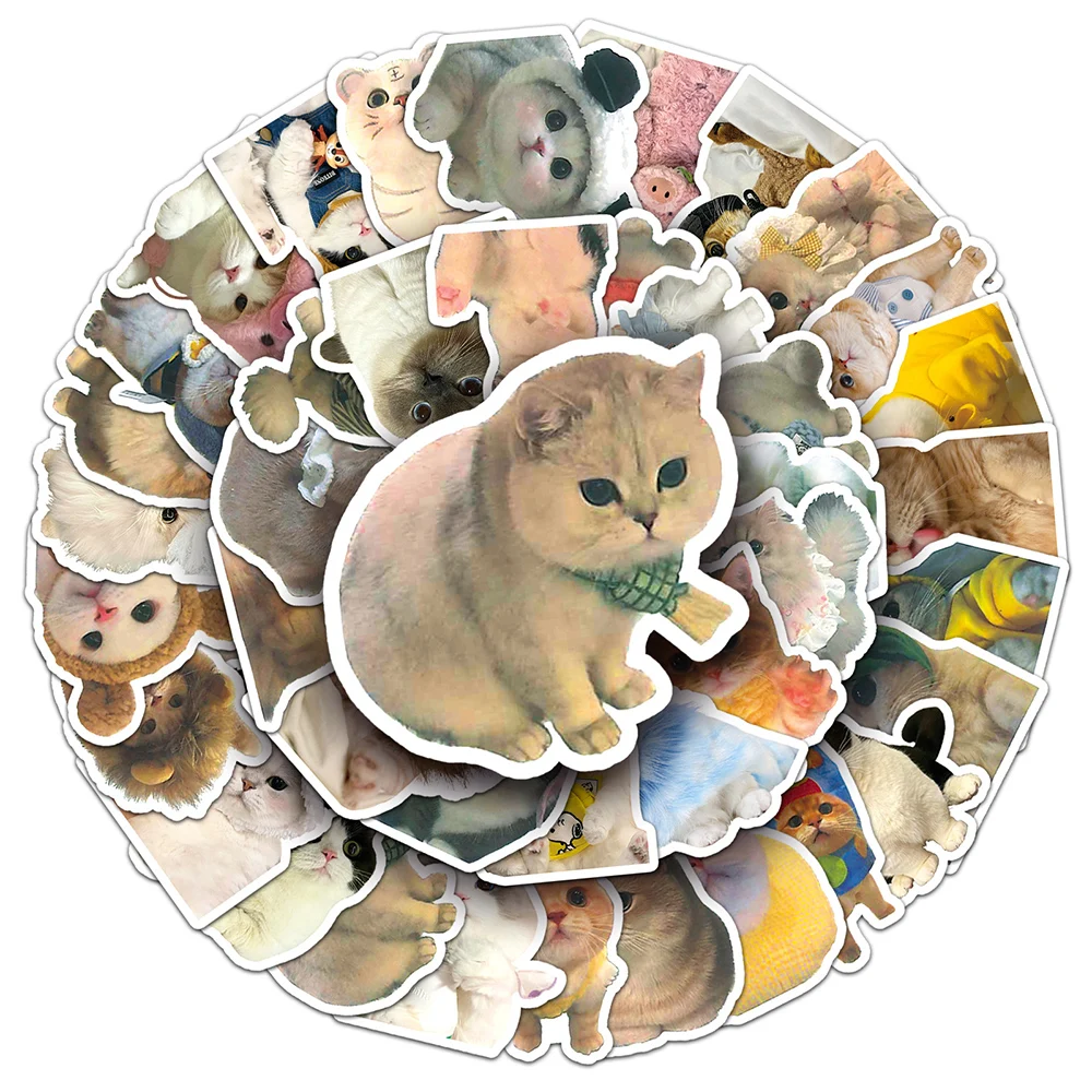 10/30/50/100pcs Kawaii Ins Cat Meme Graffiti Stickers Cute Aesthetic Decals Laptop Notebook Diary Cartoon Decoration Sticker Toy