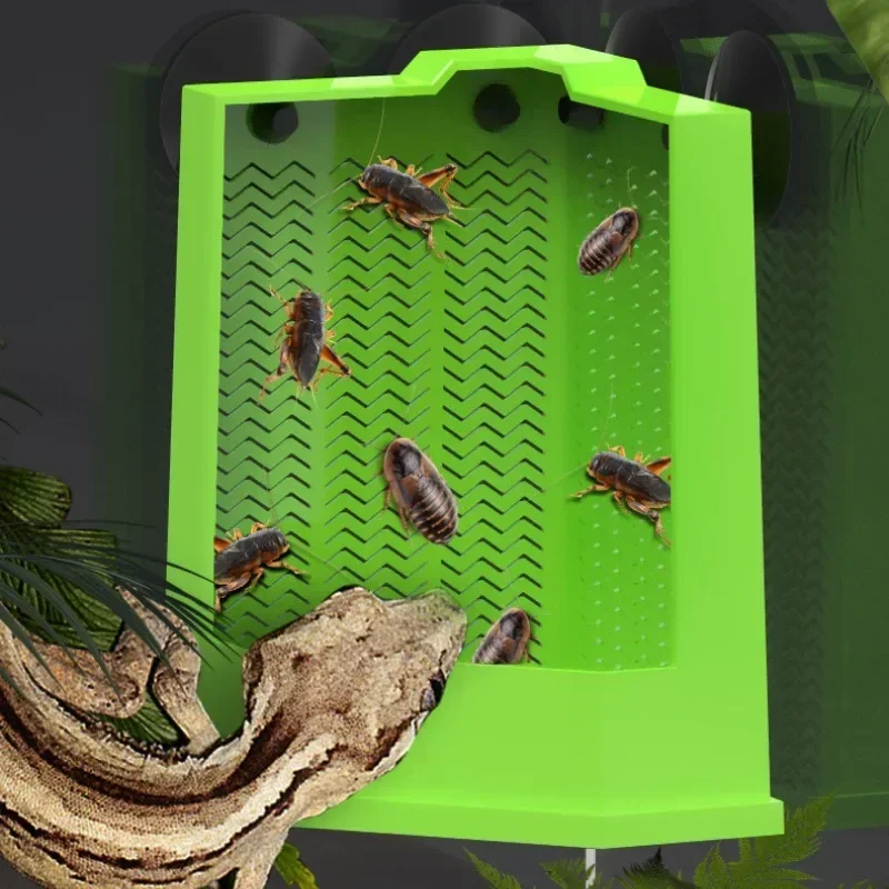 Reptile Supplies Corner Feeding Dish Reptiles Feeder Suction Cup Suitable for Lizards Mane Lions Bread Worms Dubya Crickets