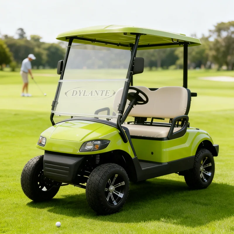 2025 نموذج جديد نمط 2 مقعد حافلة لمشاهدة معالم المدينة نادي عربة الغولف الكهربائية عربات التي تجرها الدواب عربة الصيد للبالغين مع صندوق البضائع #6