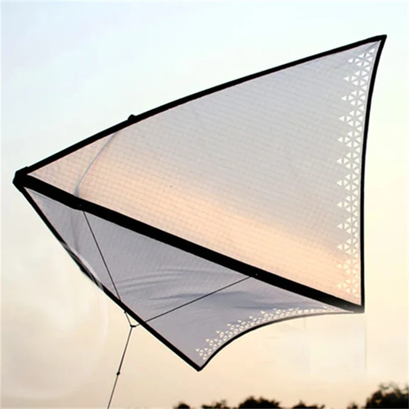 free shipping Freilein Kite single line kites for adults kites flying indoor kites hovering eagle windsurfing inflatable kite