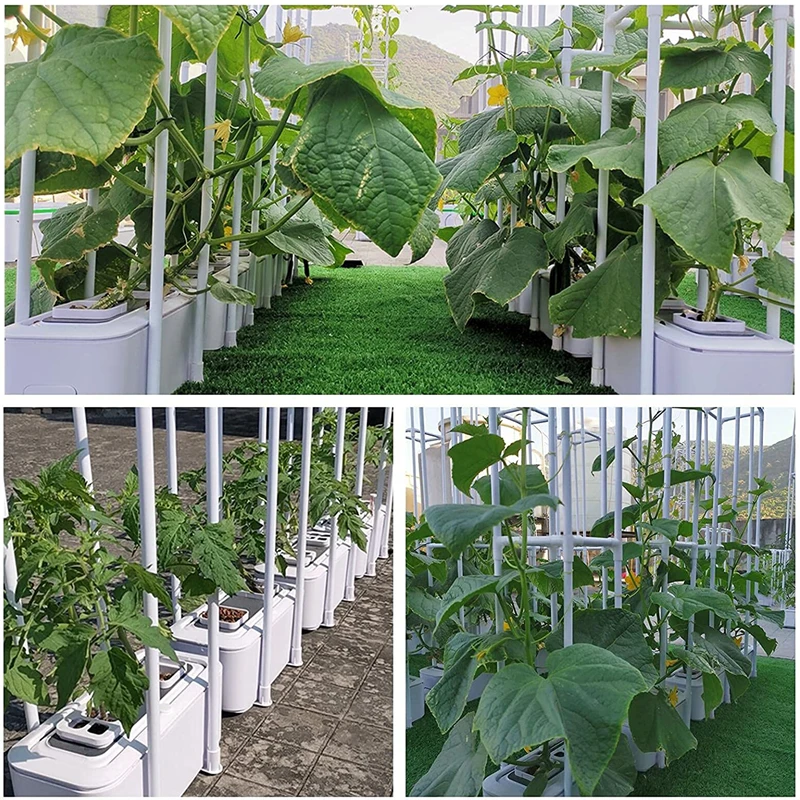 NFT Hydroponics Grow System with Smart Controller Auto Remind Self-Watering Planter Climbing Trellis for Garden Vegetables