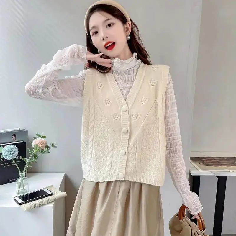 Knitted Vest Vest Women Vest Sweater Cardigan Vest Spring and Autumn Wear 2025 New Comfortable Top