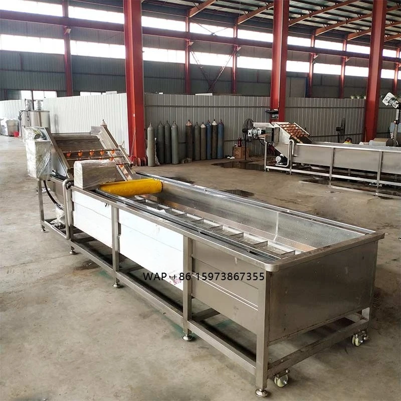 Professional Pepper Cleaning Machine with CE certificate