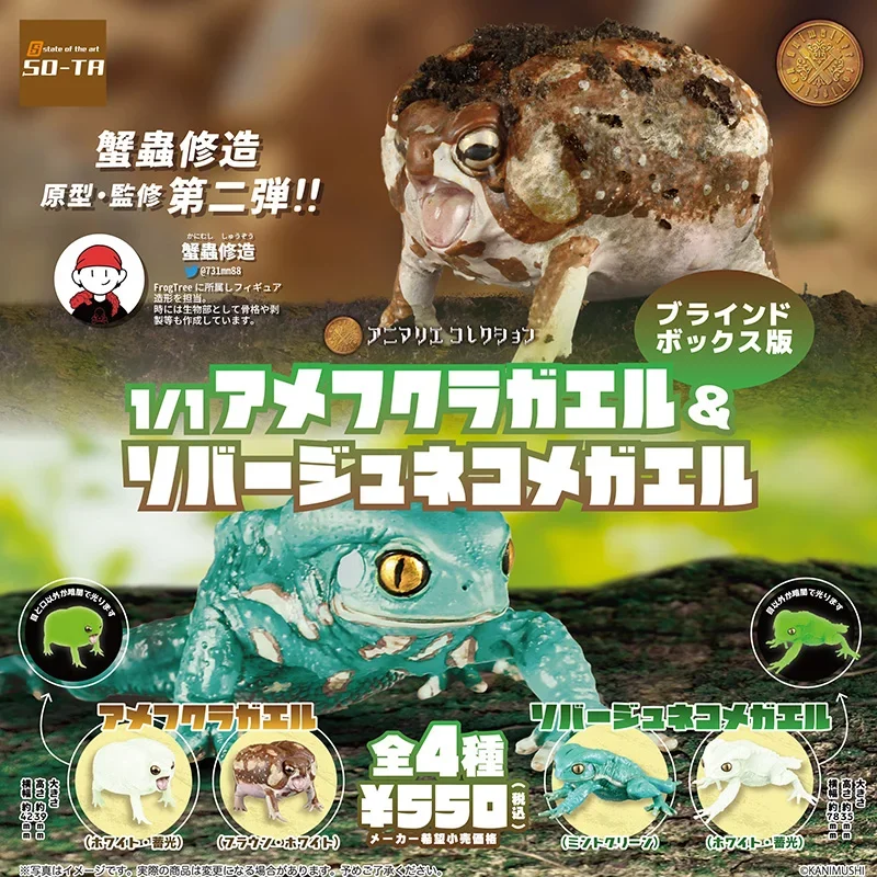 

SO-TA Original Gashapon Anime Figure Cute Kawaii 1/1 Animal Replica Reptiles Models Mantou Frog Gacha Capsule Toys Gift