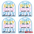 PE11713CT