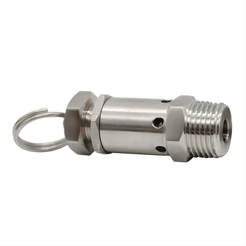 

1/4 "1/2 "BSPT NPT Male Thread 1-10 Bar Exhaust 304 Stainless Steel Sanitary Mini Spring Safety Valve For Air Compressors