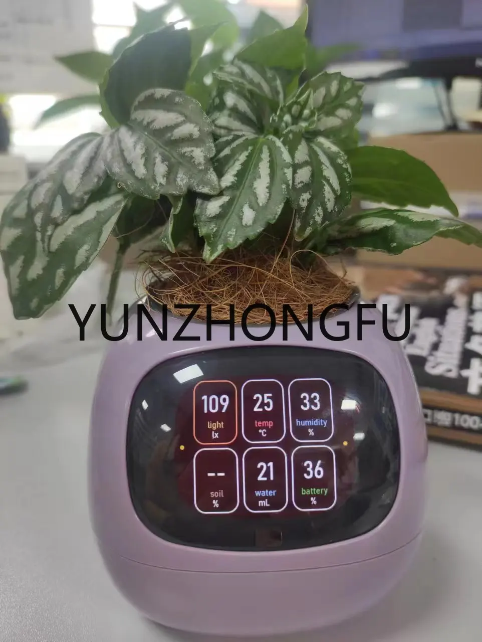 Smart flower planter APP Internet control Flowerpot Home Garden Flower Pots Creative interaction mini smart garden indoor