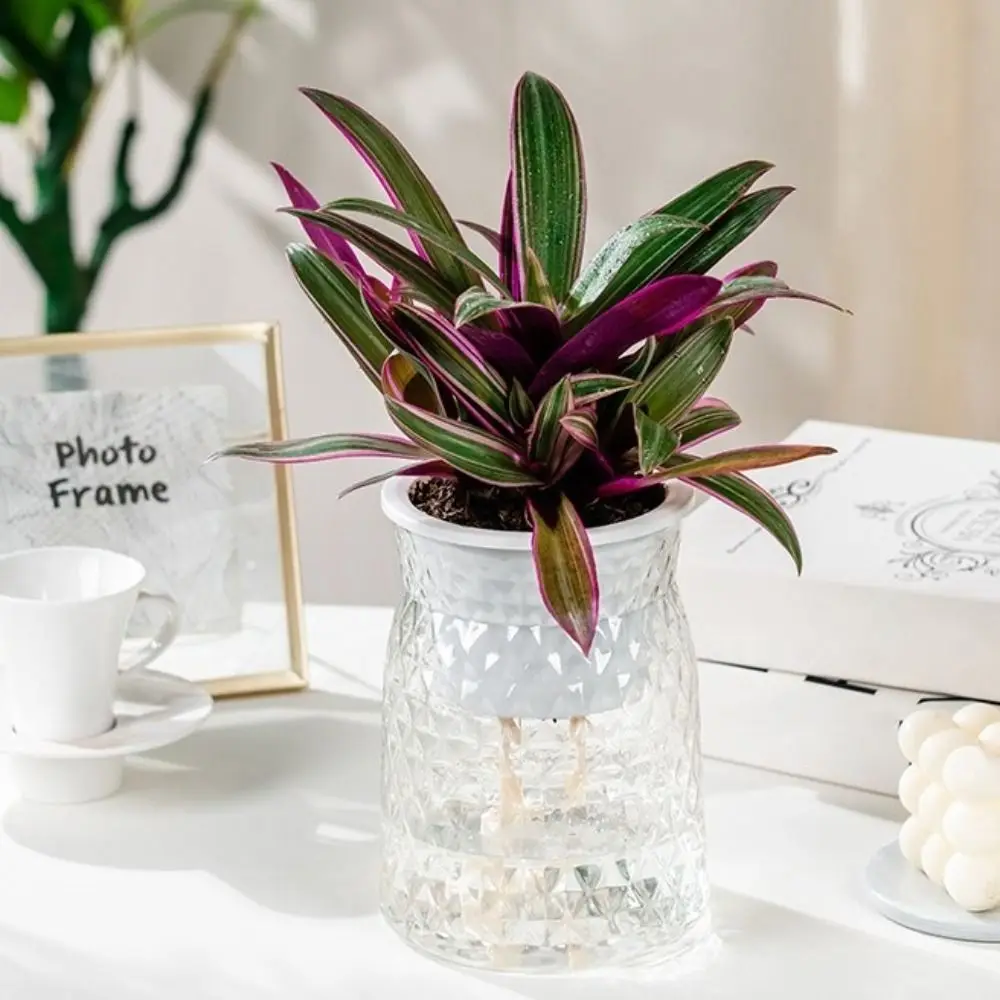 Creative Self Watering Hydroponic Flowerpot Removable Double-layer Hanging Planters Plastic Tabletop Vase