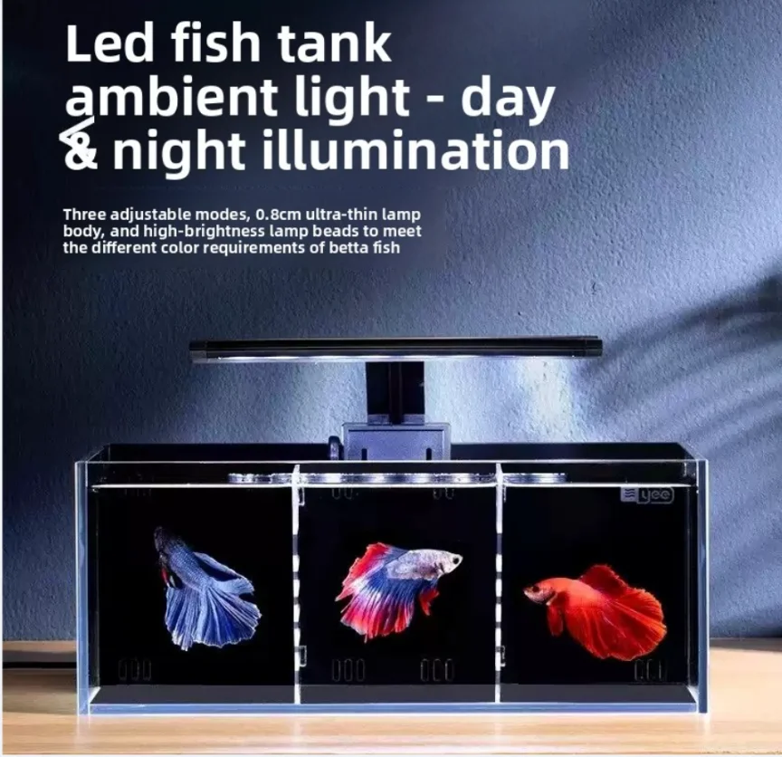 Multi-format Modular Partition Aquarium System Self-cleaning Glass Fish Tank Built-in Filter Small Ecological Water Change